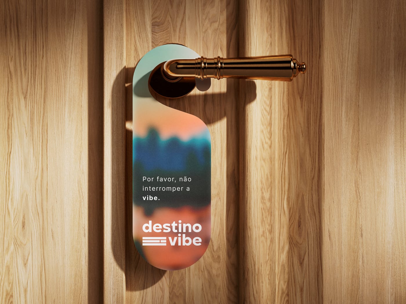 Destino Vibe image 3