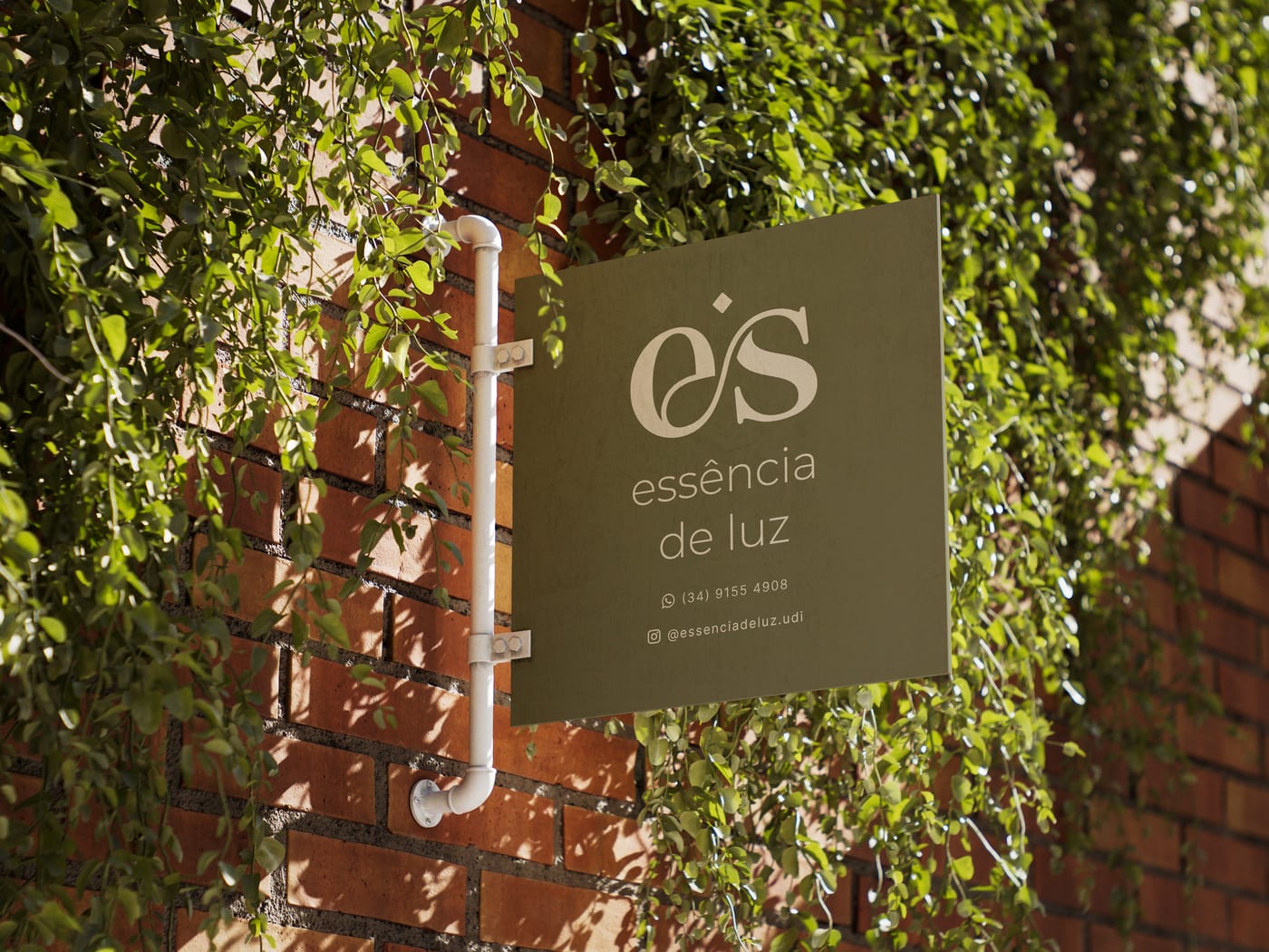 Essência de Luz image 4